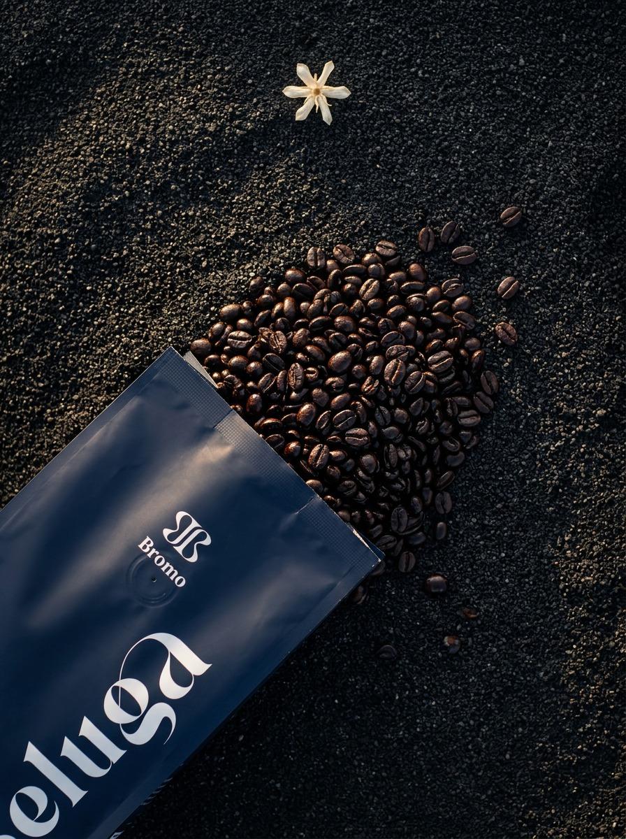 Bromo — L'Éveil du Fauve